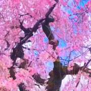 ヒメ日記 2025/04/06 19:22 投稿 あすか タレント倶楽部Around40