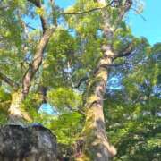 ヒメ日記 2025/05/04 21:02 投稿 あすか タレント倶楽部Around40