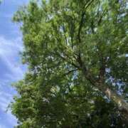 ヒメ日記 2025/05/31 09:50 投稿 あすか タレント倶楽部Around40