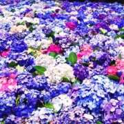 ヒメ日記 2025/06/05 12:12 投稿 あすか タレント倶楽部Around40