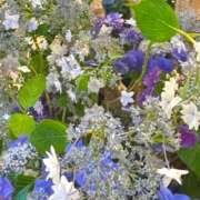 ヒメ日記 2025/06/09 16:06 投稿 あすか タレント倶楽部Around40