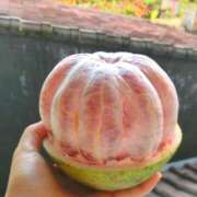 ヒメ日記 2025/07/05 13:00 投稿 あすか タレント倶楽部Around40