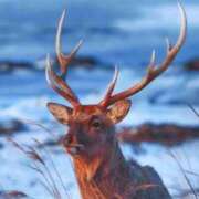 ヒメ日記 2025/07/11 19:50 投稿 あすか タレント倶楽部Around40