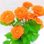 ヒメ日記 2025/07/22 16:44 投稿 あすか タレント倶楽部Around40