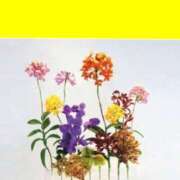 ヒメ日記 2025/08/13 13:22 投稿 あすか タレント倶楽部Around40