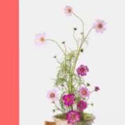 ヒメ日記 2025/08/13 13:32 投稿 あすか タレント倶楽部Around40