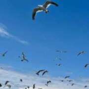 ヒメ日記 2025/08/25 13:12 投稿 あすか タレント倶楽部Around40