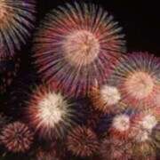 ヒメ日記 2025/08/25 17:02 投稿 あすか タレント倶楽部Around40