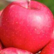 ヒメ日記 2025/09/06 11:52 投稿 あすか タレント倶楽部Around40