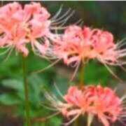 ヒメ日記 2025/09/21 13:26 投稿 あすか タレント倶楽部Around40