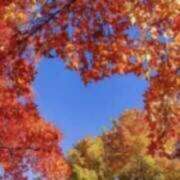 ヒメ日記 2025/09/22 13:34 投稿 あすか タレント倶楽部Around40