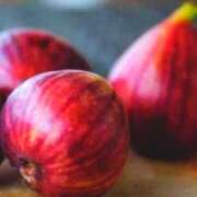 ヒメ日記 2025/09/28 01:18 投稿 あすか タレント倶楽部Around40