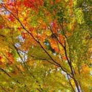 ヒメ日記 2025/11/04 18:18 投稿 あすか タレント倶楽部Around40