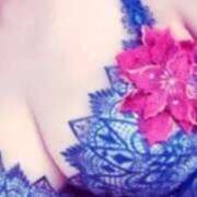 ヒメ日記 2025/11/13 12:20 投稿 あすか タレント倶楽部Around40