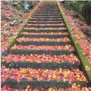 ヒメ日記 2025/12/07 11:52 投稿 あすか タレント倶楽部Around40