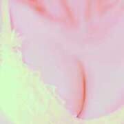 ヒメ日記 2025/12/08 06:46 投稿 あすか タレント倶楽部Around40