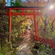 ヒメ日記 2025/12/15 12:48 投稿 あすか タレント倶楽部Around40