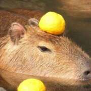 ヒメ日記 2026/02/01 12:46 投稿 あすか タレント倶楽部Around40