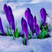 ヒメ日記 2026/02/02 12:34 投稿 あすか タレント倶楽部Around40