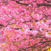 ヒメ日記 2026/02/15 14:10 投稿 あすか タレント倶楽部Around40