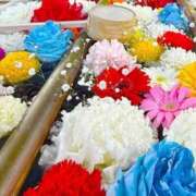 ヒメ日記 2026/04/02 16:44 投稿 あすか タレント倶楽部Around40