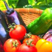 ヒメ日記 2026/04/06 15:20 投稿 あすか タレント倶楽部Around40