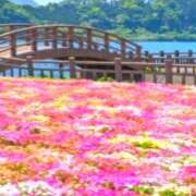 ヒメ日記 2026/04/19 13:34 投稿 あすか タレント倶楽部Around40