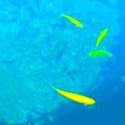 ヒメ日記 2026/05/03 13:52 投稿 あすか タレント倶楽部Around40