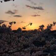 ヒメ日記 2025/04/06 12:36 投稿 まさき タレント倶楽部Around40