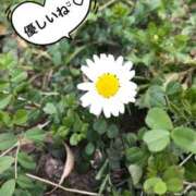 ヒメ日記 2026/02/17 13:04 投稿 まさき タレント倶楽部Around40