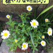 ヒメ日記 2026/04/24 19:36 投稿 まさき タレント倶楽部Around40