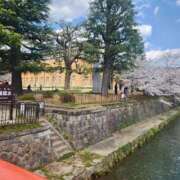 おうみ 桜には癒されますね〜 タレント倶楽部Around40