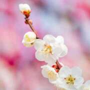 ヒメ日記 2025/03/03 10:20 投稿 みなも タレント倶楽部Around40