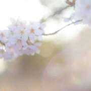 ヒメ日記 2025/04/05 07:54 投稿 みなも タレント倶楽部Around40