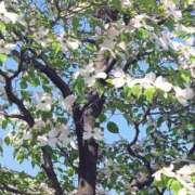 ヒメ日記 2025/04/30 19:48 投稿 みなも タレント倶楽部Around40