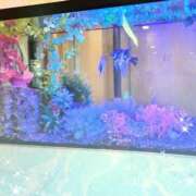 ヒメ日記 2025/05/02 15:18 投稿 みなも タレント倶楽部Around40