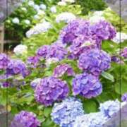 ヒメ日記 2025/06/20 20:10 投稿 みなも タレント倶楽部Around40