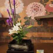 ヒメ日記 2025/07/11 21:12 投稿 みなも タレント倶楽部Around40