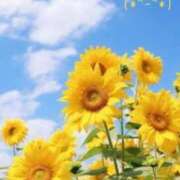 ヒメ日記 2025/08/10 17:04 投稿 みなも タレント倶楽部Around40