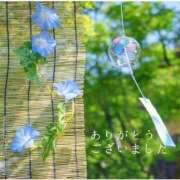 ヒメ日記 2025/08/19 19:26 投稿 みなも タレント倶楽部Around40