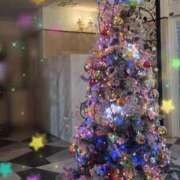 ヒメ日記 2025/12/19 16:00 投稿 みなも タレント倶楽部Around40