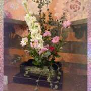 ヒメ日記 2026/02/17 17:22 投稿 みなも タレント倶楽部Around40