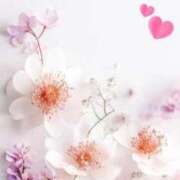 ヒメ日記 2026/03/06 18:26 投稿 みなも タレント倶楽部Around40