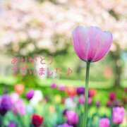 ヒメ日記 2026/04/23 08:46 投稿 みなも タレント倶楽部Around40