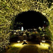 ヒメ日記 2024/12/10 18:11 投稿 ひな YESグループ　華女