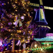 ヒメ日記 2024/12/24 14:25 投稿 ひな YESグループ　華女