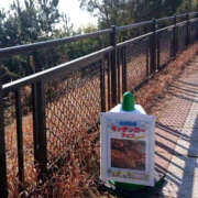 ヒメ日記 2025/03/01 11:33 投稿 ひな YESグループ　華女