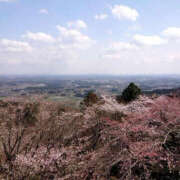 ヒメ日記 2025/04/07 16:12 投稿 ひな YESグループ　華女