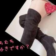 ヒメ日記 2025/06/07 09:08 投稿 りせ タレント倶楽部アダルト