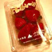 ヒメ日記 2025/04/04 08:27 投稿 有村みゆ シロガネーゼ